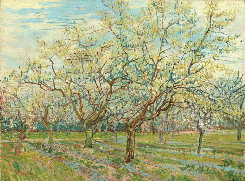 Белый сад, Винсент Ван Гог, Арль, апрель 1888 г